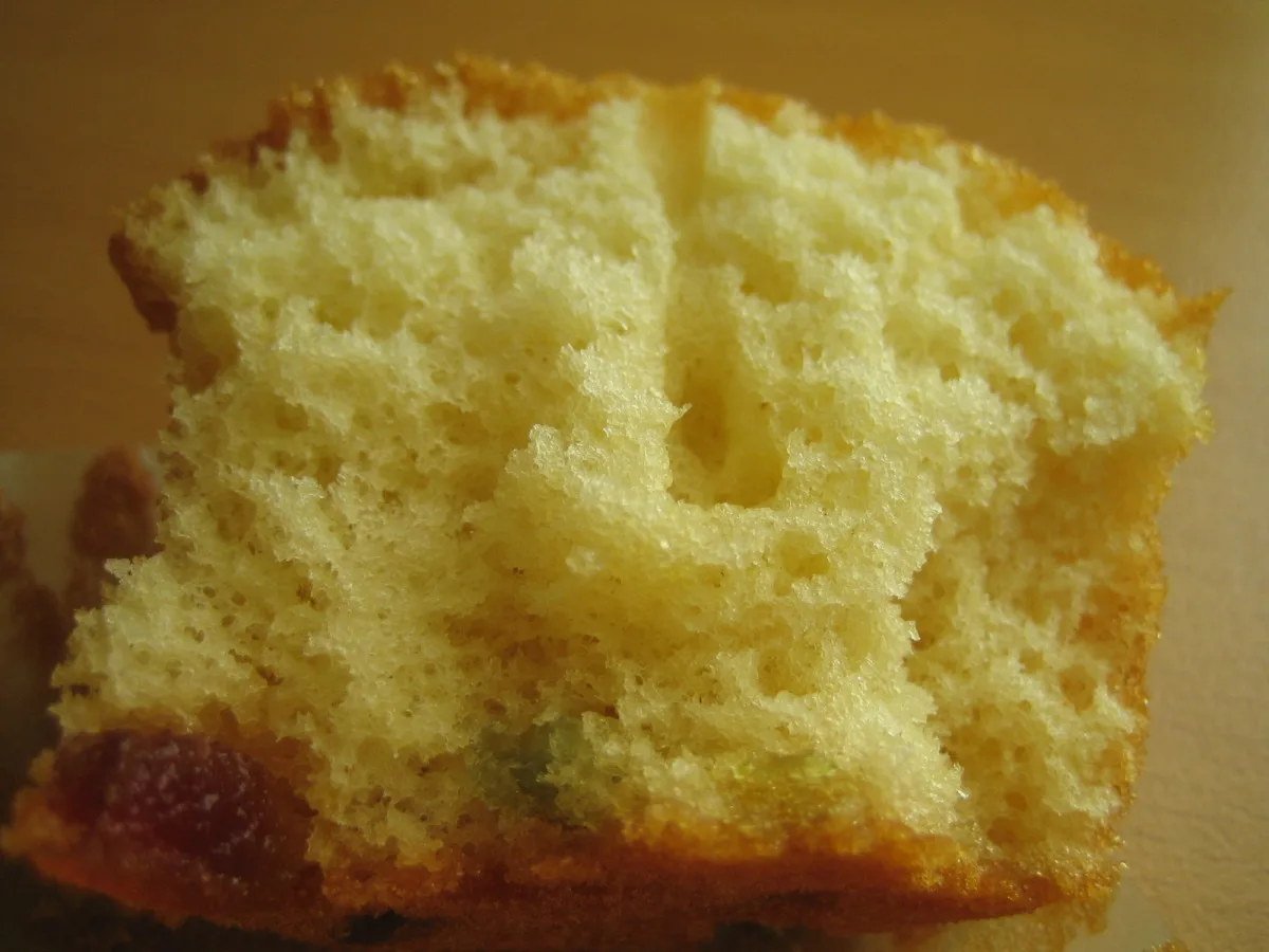 Spanish Magdelenas-Madeleines.