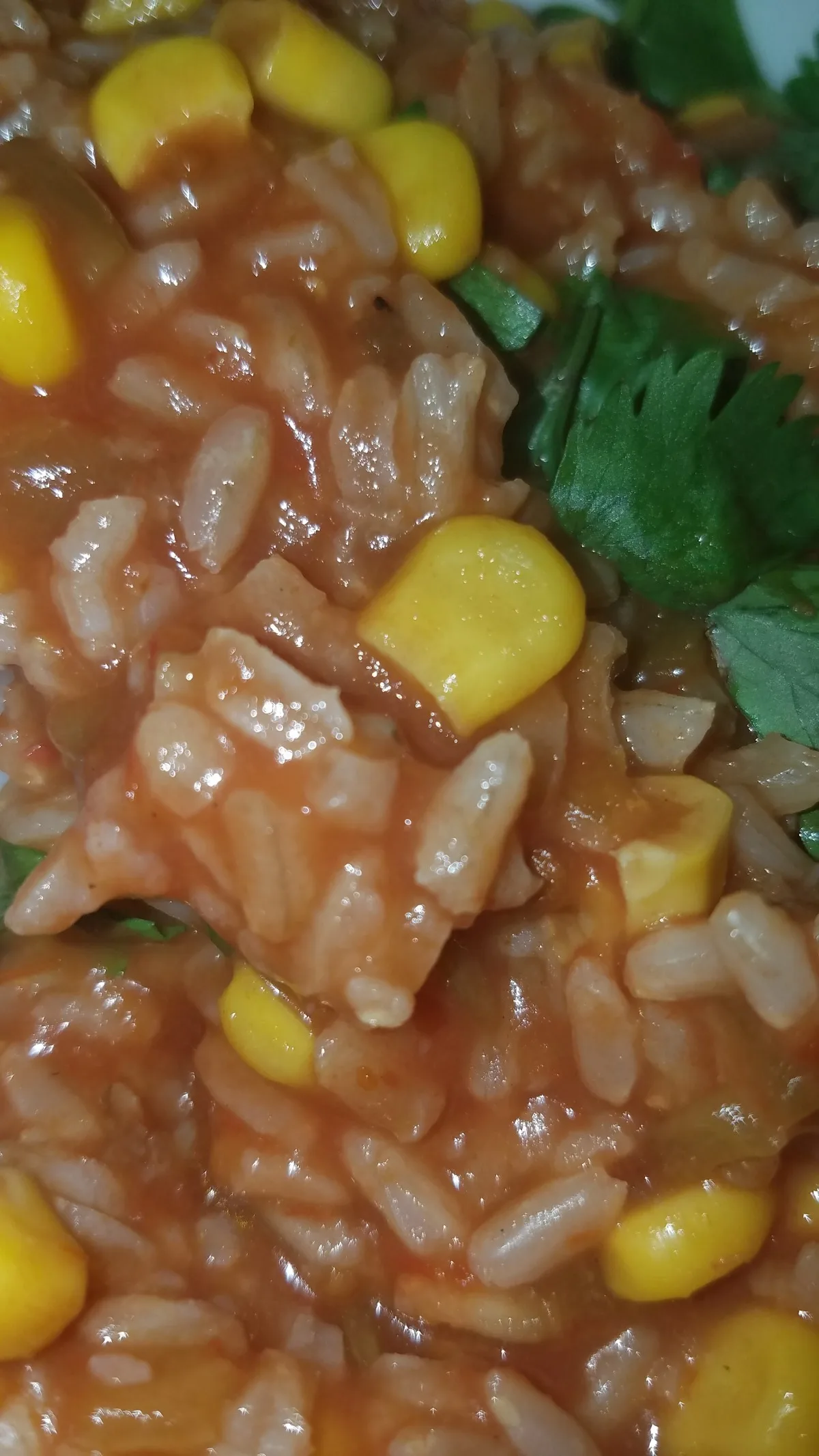Spanish Rice Bake
