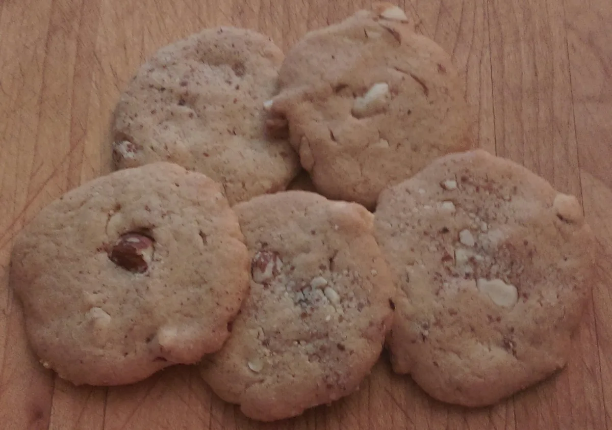 Speculaas (Dutch Windmill Cookies)