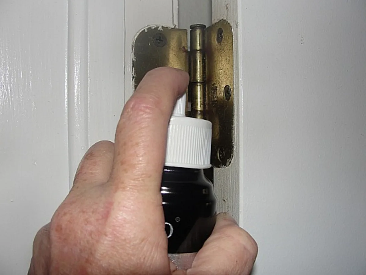 Squeaky Door Hinge Be Gone!