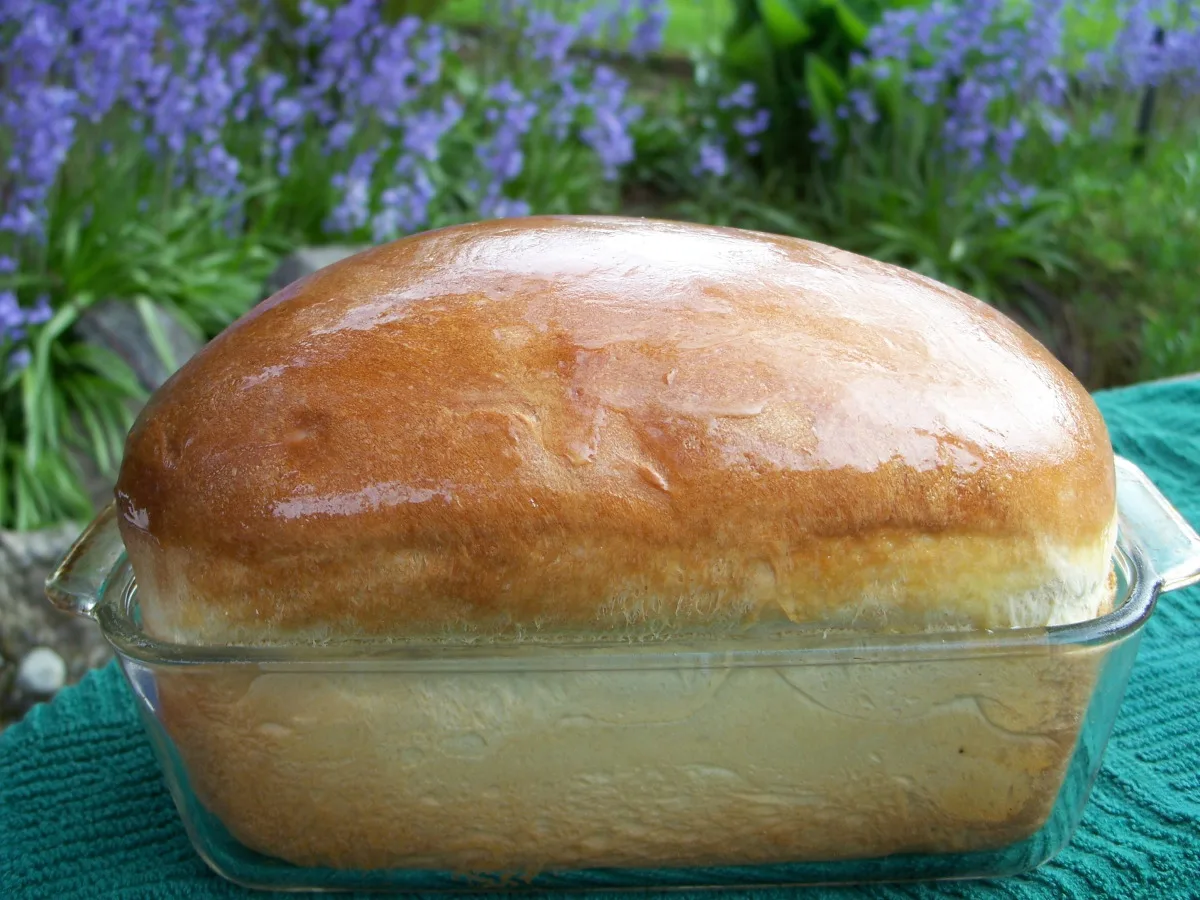 Sweet Hawaiian Yeast Bread (bread Machine)