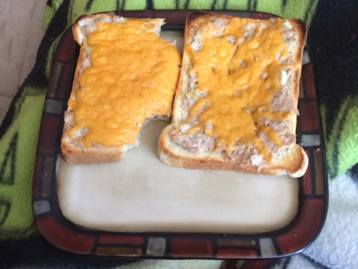 Tuna Melt