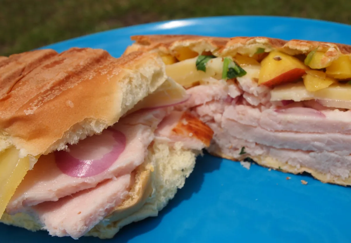 Turkey Panini