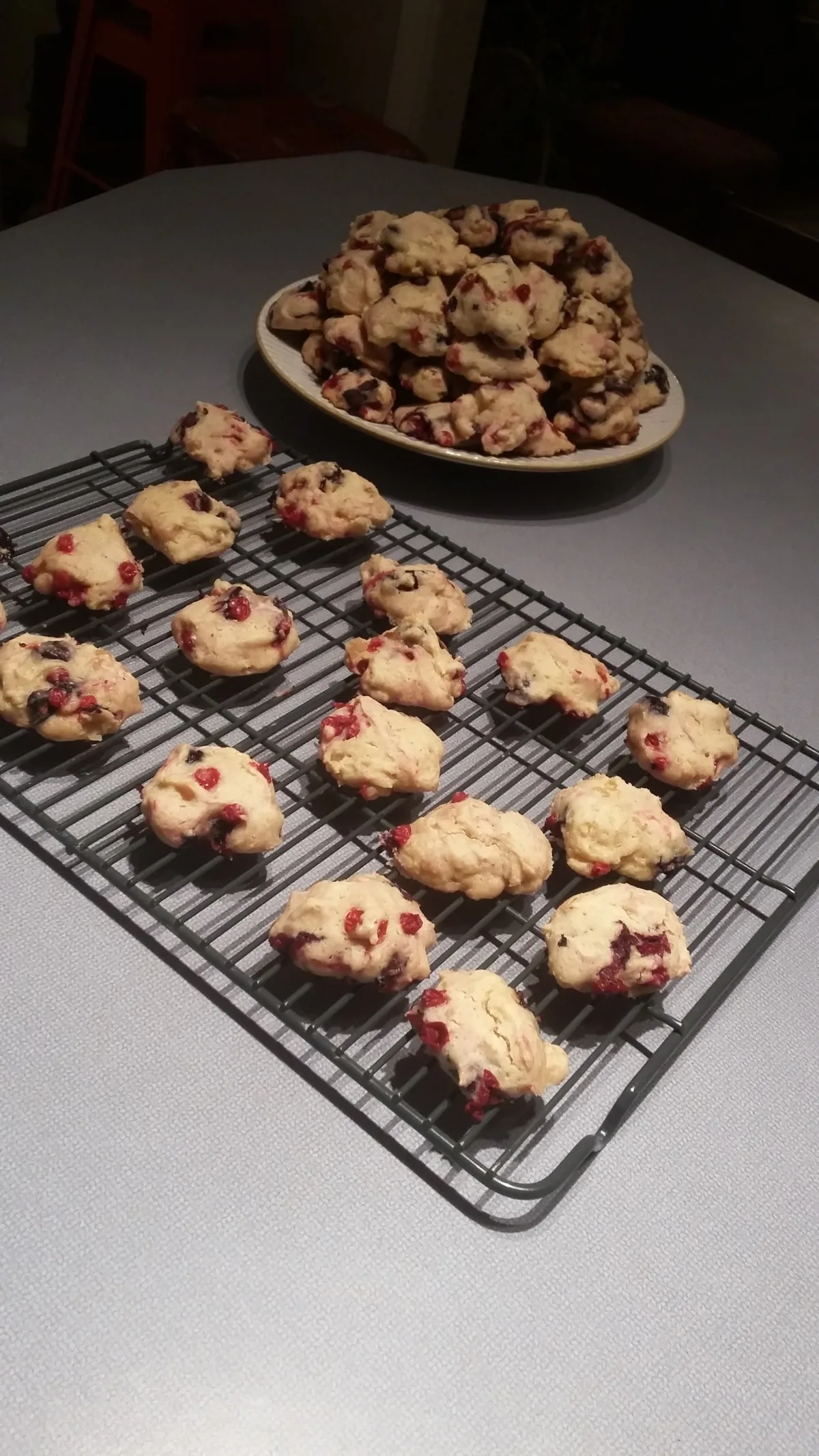 Wild Blueberry & Lingonberry Cookies