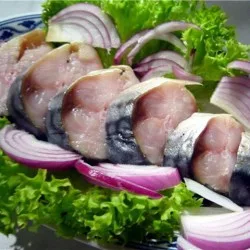 «Копчена» скумбрія