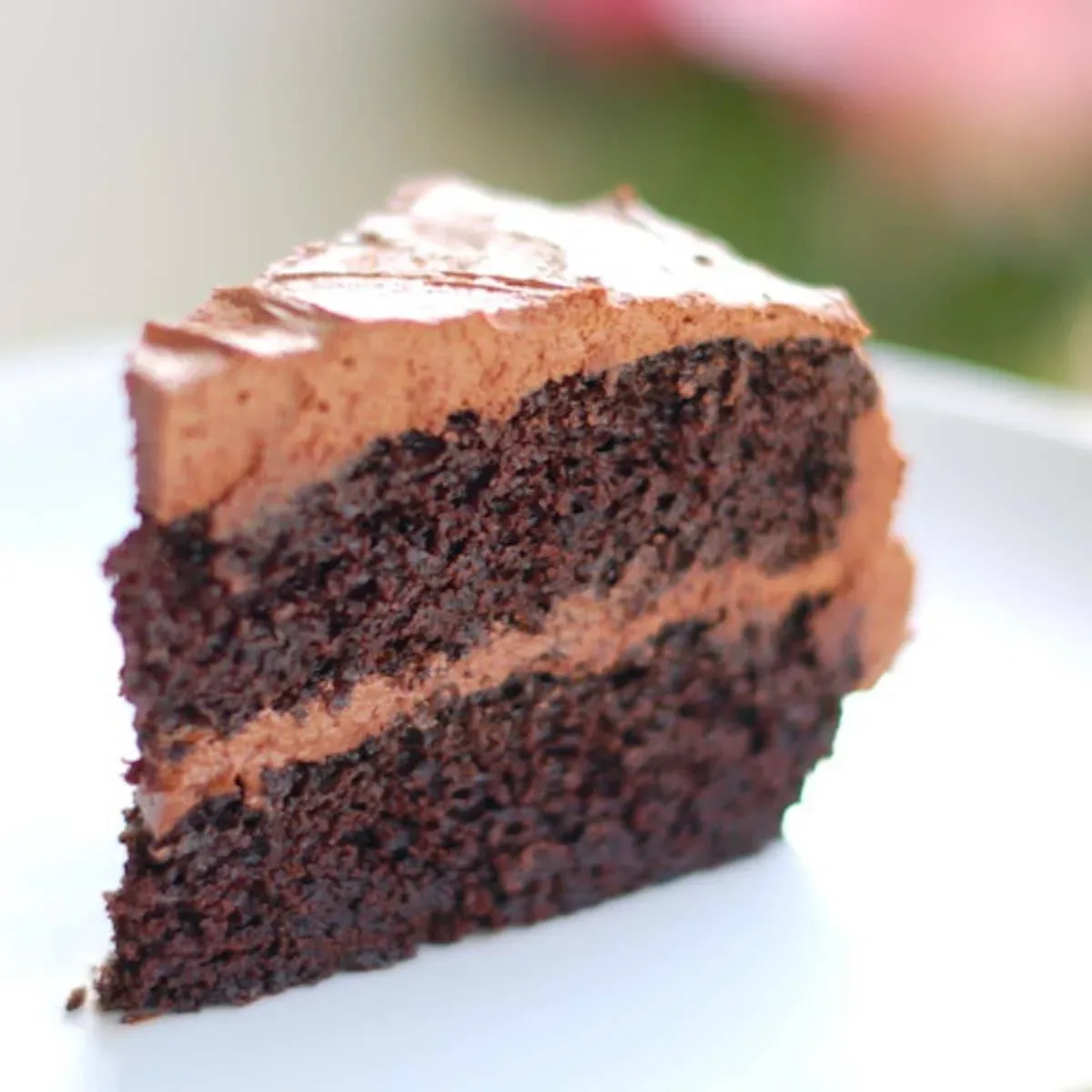 Double Chocolate Cake with Buttercream Frosting