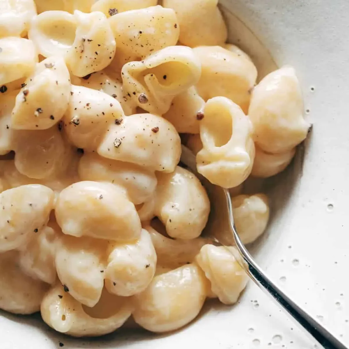 One-Pot Garlic Parmesan Shellbows