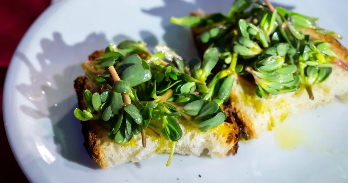 Маринований портулак — рецепт літньої зеленої закуски