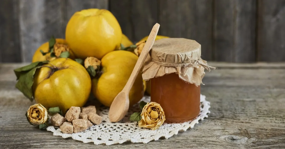Варення з айви з багатотисячною історією Marmalatha Kythoni