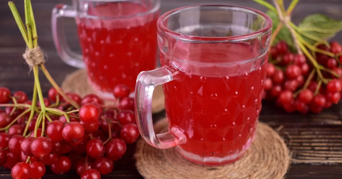Цілющий і смачний морс із калини