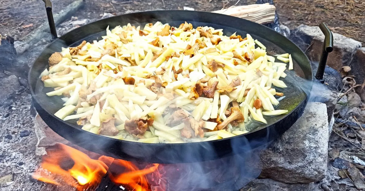 Картопля з грибами на сковороді з дискової борони